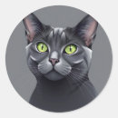 Search for cat with green eyes stickers Pet
