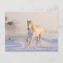 Search for run postcards White horse