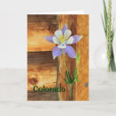 Search for flower miss you cards Wildflower