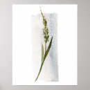 Search for watercolor forest posters Grass
