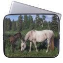 Search for foal cases Water