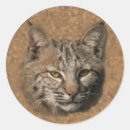 Search for bobcat stickers Nature