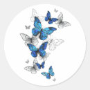 Search for butterflies fly stickers Butterfly