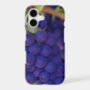Search for grape vines iphone cases Fruit