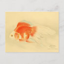 Search for vintage goldfish postcards Japanese