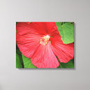 Search for magenta canvas prints Nature