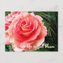 Search for beautiful quote postcards Photography