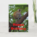 Search for monkey birthday cards Jungle