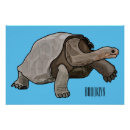 Search for shell cartoons posters For kids