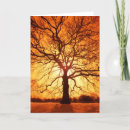 Search for sunburst cards Tree