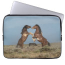 Search for wyoming electronics Ranch