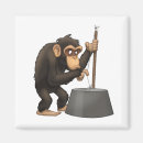 Search for chimp magnets Monkey