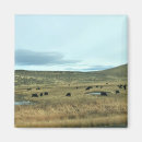 Search for rural magnets Nature