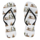 Search for llama jandals Animal
