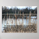 Search for cat tail posters Nature