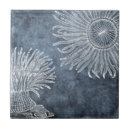 Search for antique blue and white tiles Watercolor