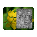Search for frame magnets Flower