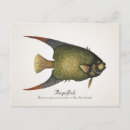 Search for animal prints postcards Sea life
