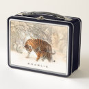 Search for boxing gifts Animals