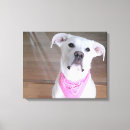 Search for funny dog canvas prints Humourous