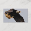 Search for bald business cards White