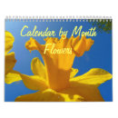 Search for month calendars Colourful