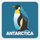 Search for antarctica stickers South pole