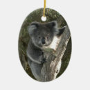 Search for cute koala bears christmas tree decorations Wildlife