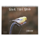 Search for common office supplies Nature