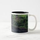 Search for hilo mugs Rainbow falls
