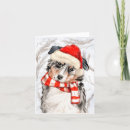Search for australian shepherd cards Dogs