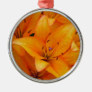 Search for lilies christmas tree decorations Botanical