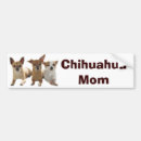 Search for chihuahua bumper stickers Dog
