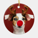 Search for jack russel terrier christmas tree decorations Cute
