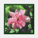Search for raindrop magnets Photography
