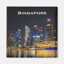 Search for skyline magnets Reflections