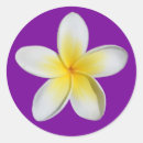Search for frangipani stickers White
