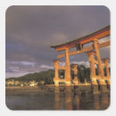 Search for jima Floating tori