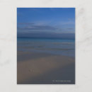 Search for footprints postcards Tropical