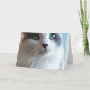 Search for funny animal photos cards For her