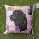 Search for newfy Newfie