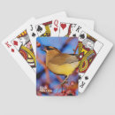 Search for birdnerd Waxwing