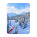 Search for ski resort magnets Danita delimont