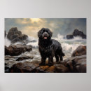 Search for newfoundland dog posters Newfie