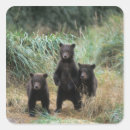 Search for grizzly bear stickers Baby