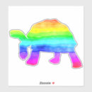 Search for tortoise Sea