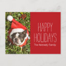 Search for boston terrier christmas cards Snow