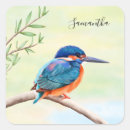 Search for kingfisher stickers Orange