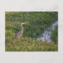 Search for not tall postcards Massachusetts