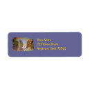 Search for stream return address labels Mountain